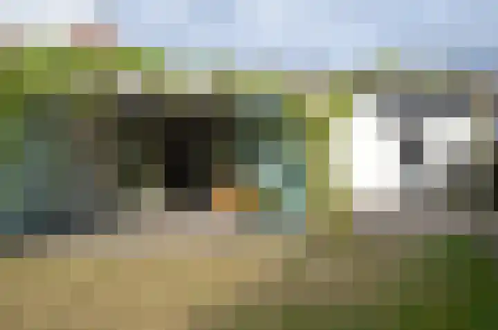 Kerkstraat 64 Someren thumbnail 25