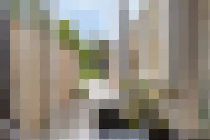 Kerkstraat 65 Goor thumbnail 10