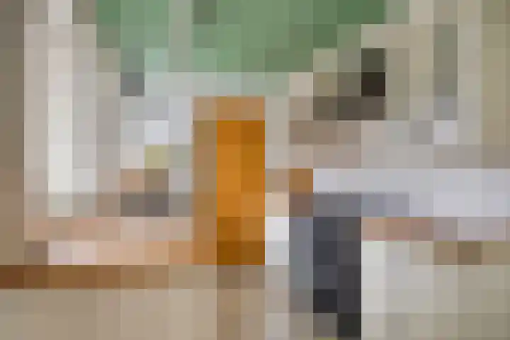Kerkstraat 65 Goor thumbnail 11