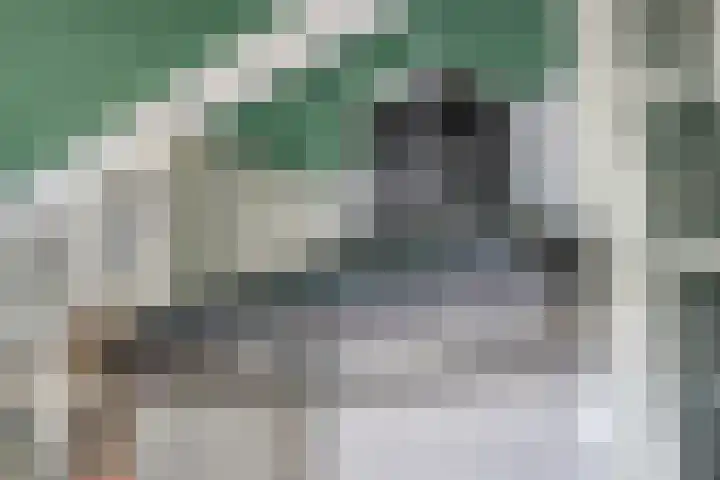 Kerkstraat 65 Goor thumbnail 13