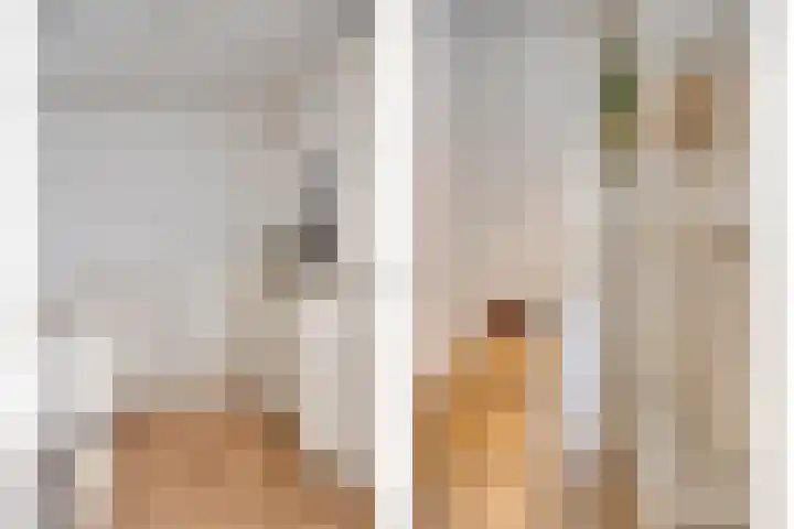 Kerkstraat 65 Goor thumbnail 20