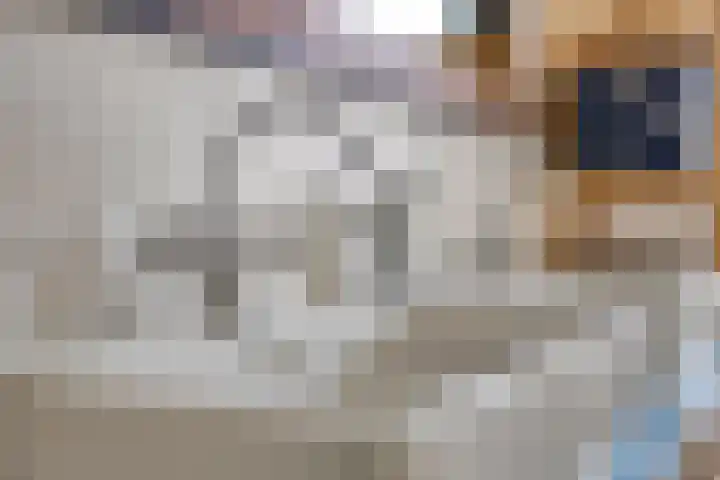 Kerkstraat 65 Goor thumbnail 25