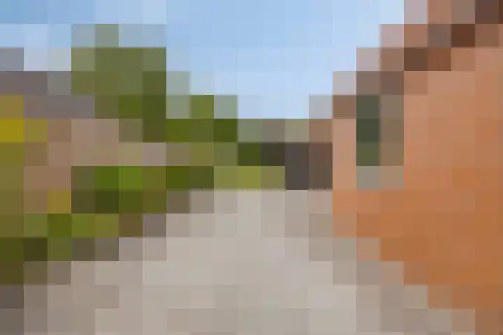 Kerkstraat 65 Goor thumbnail 32