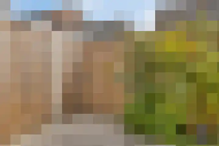 Kerkstraat 65 Goor thumbnail 33