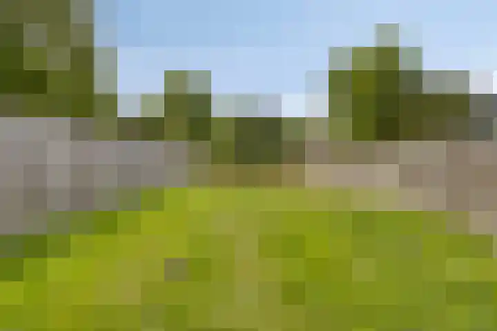 Kerkstraat 65 Goor thumbnail 37