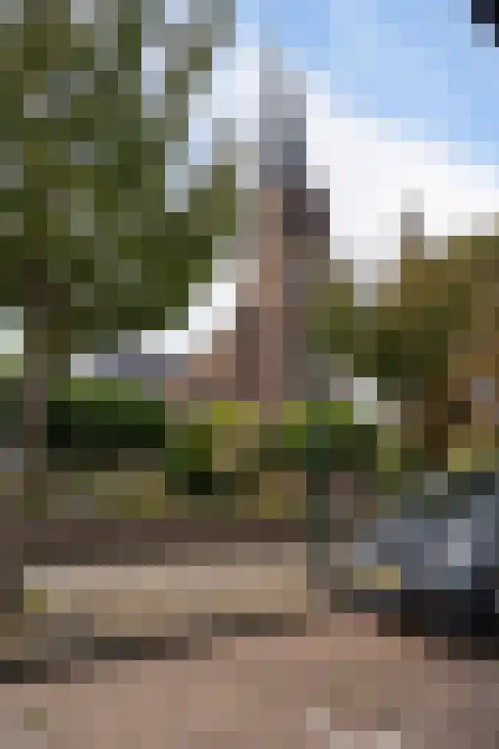 Kerkstraat 65 Katwijk thumbnail 49