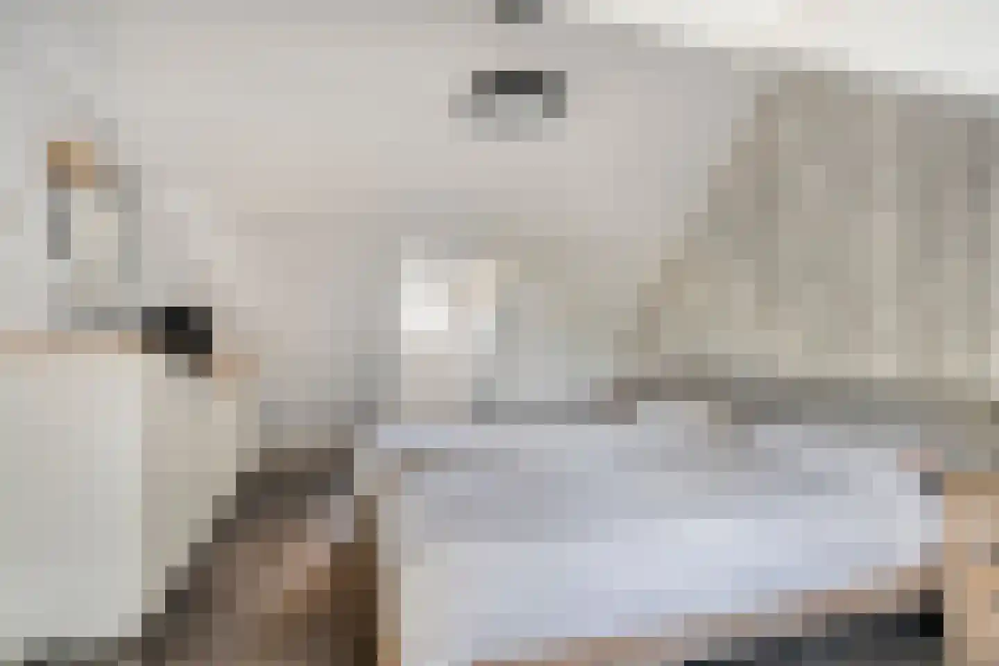 Kerkstraat 66 Lage Zwaluwe thumbnail 20