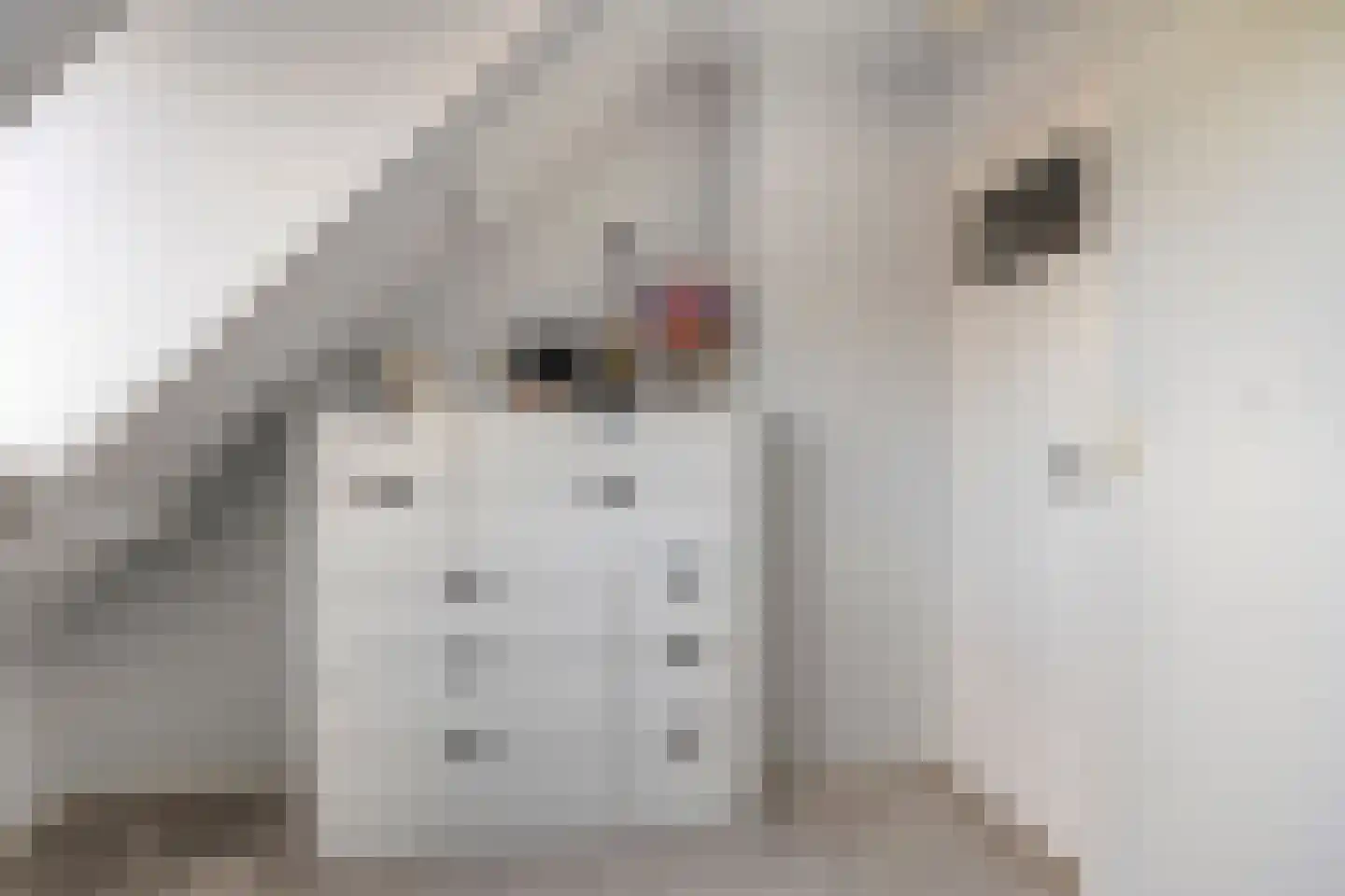Kerkstraat 66 Lage Zwaluwe thumbnail 23