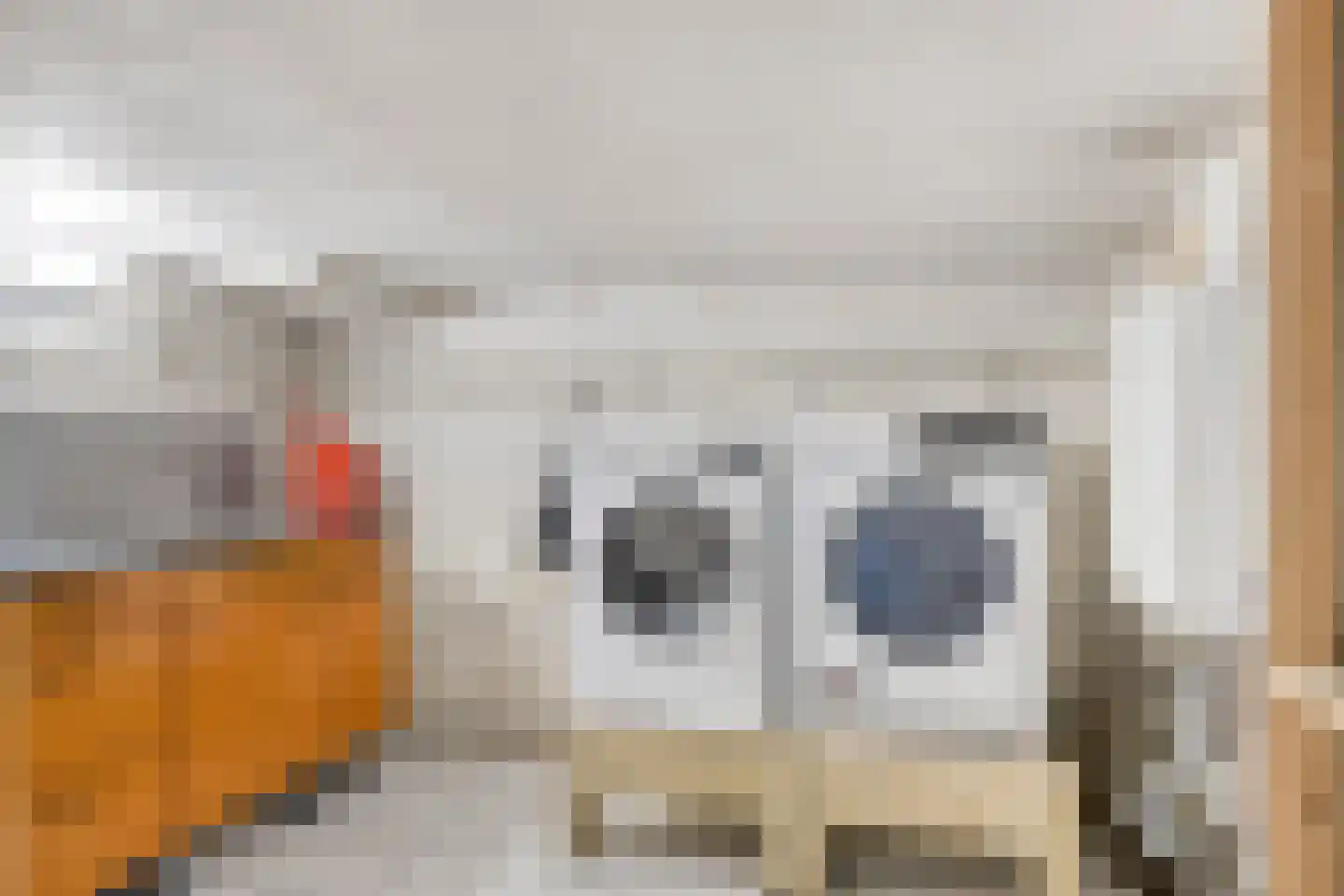 Kerkstraat 66 Lage Zwaluwe thumbnail 31
