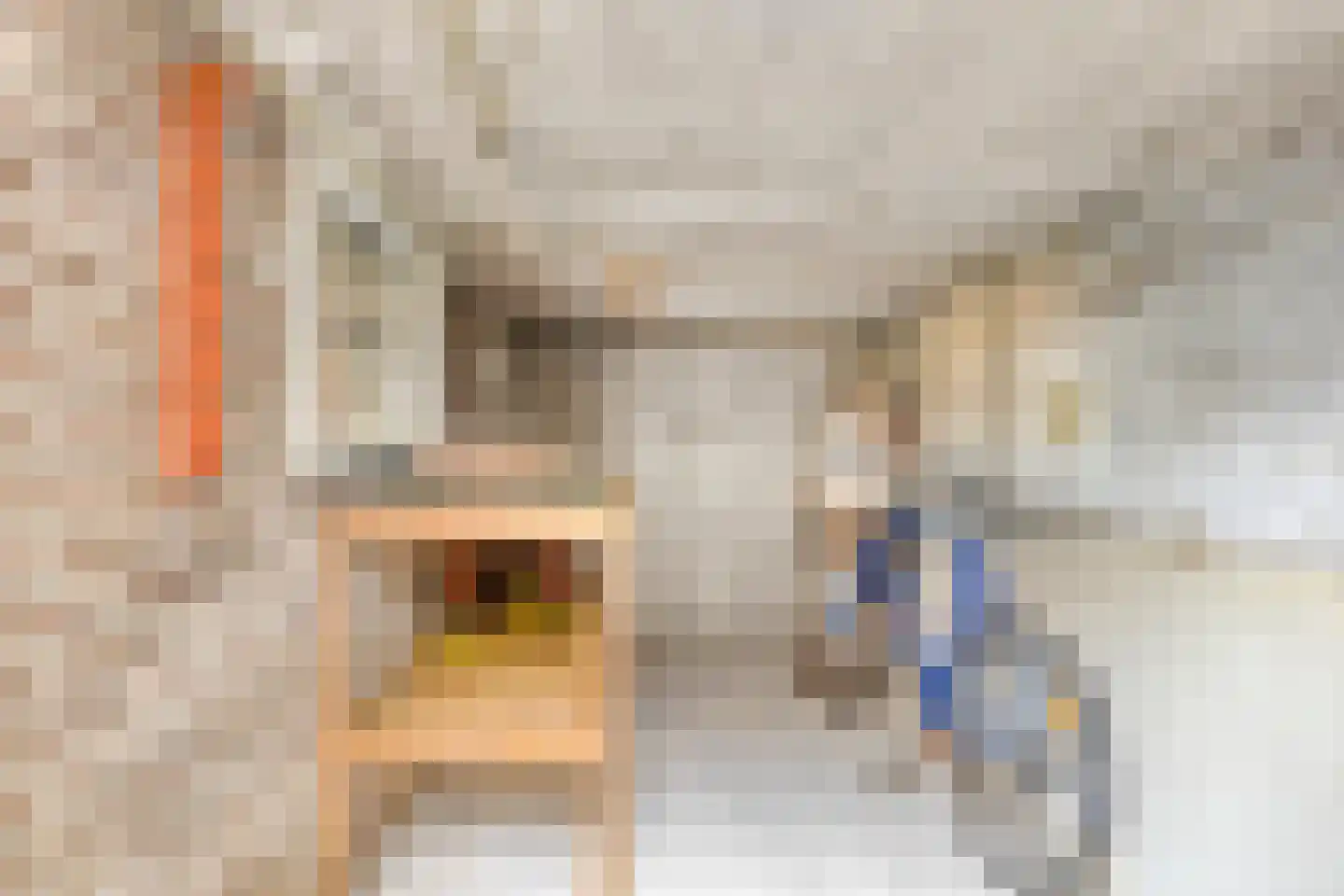 Kerkstraat 66 Lage Zwaluwe thumbnail 43