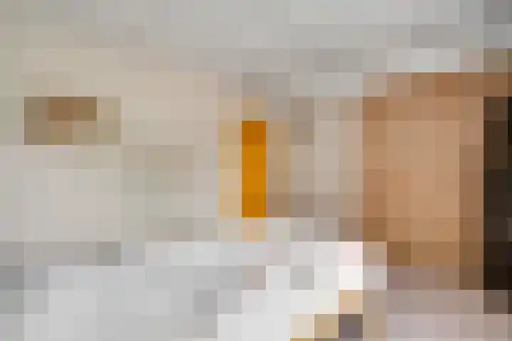 Kerkstraat 66 Weert thumbnail 34