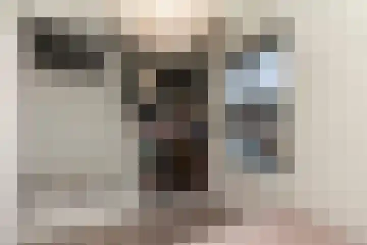 Kerkstraat 67 Alblasserdam thumbnail 15