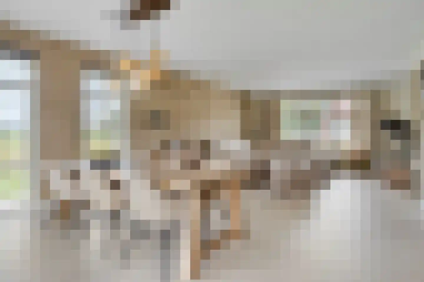 Kerkstraat 67 Clinge thumbnail 10