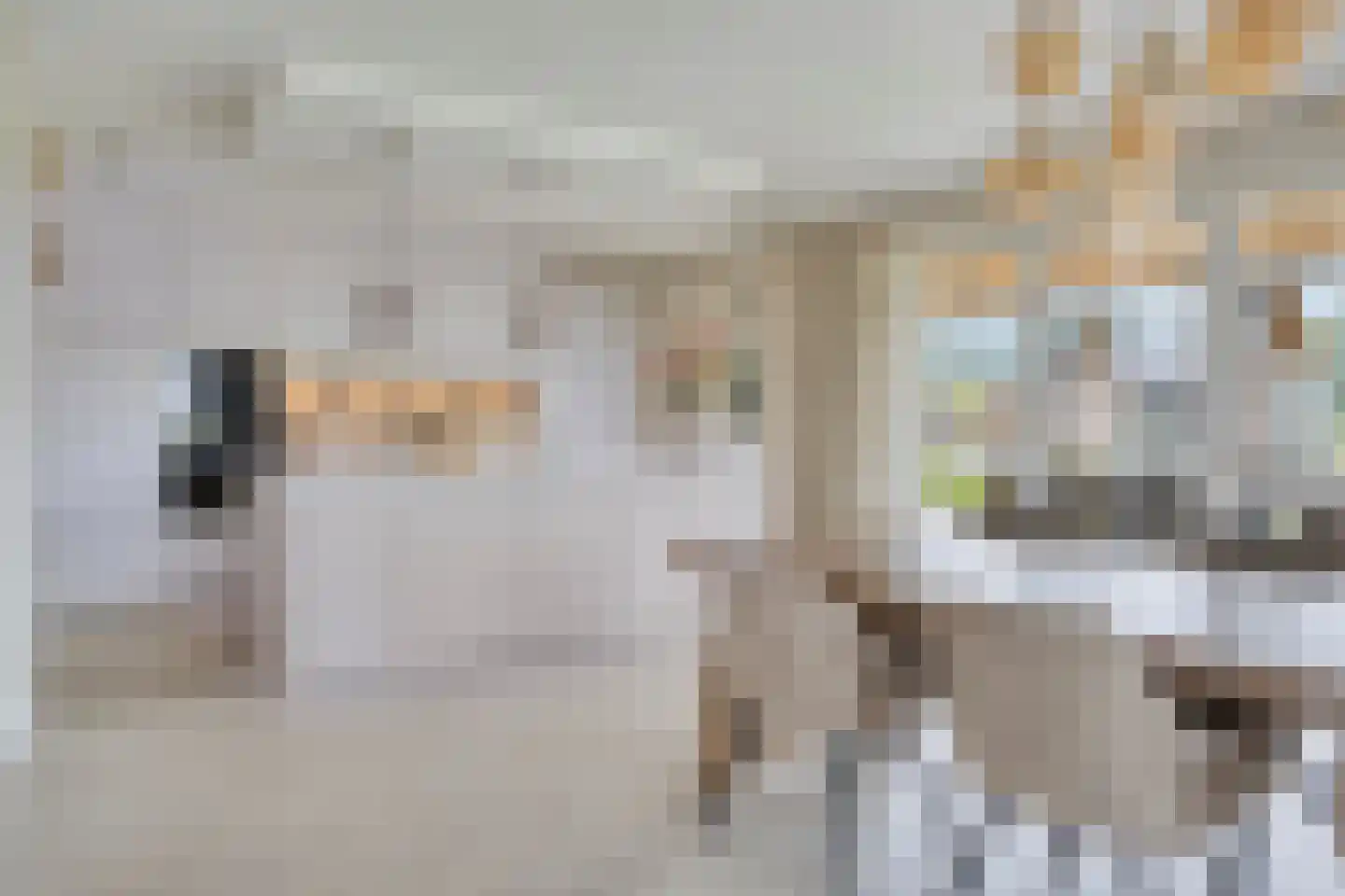 Kerkstraat 67 Clinge thumbnail 11