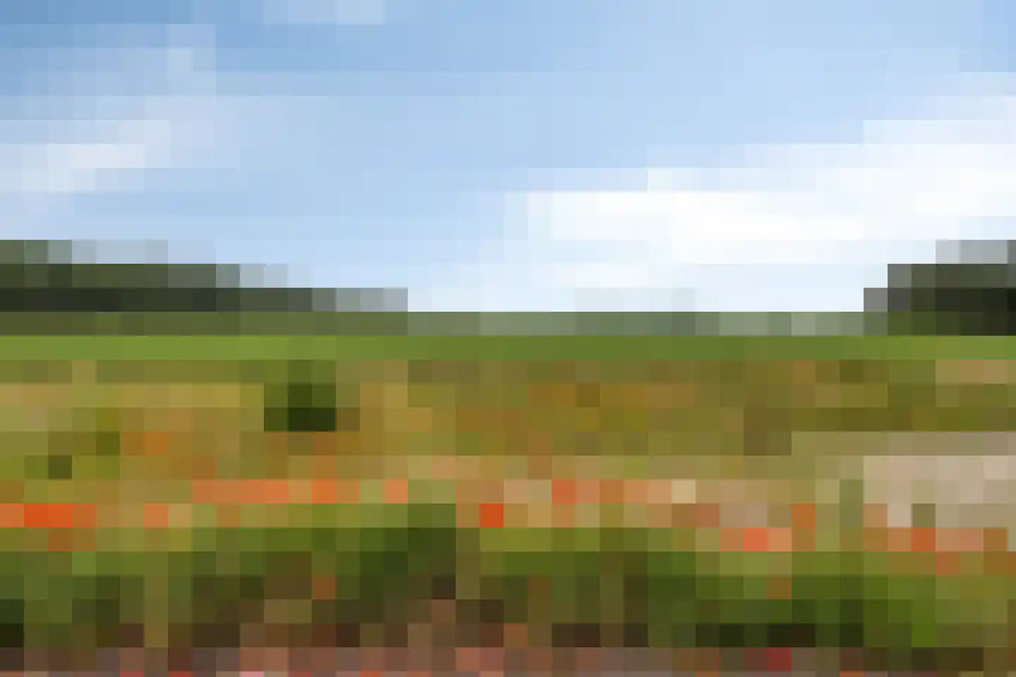 Kerkstraat 67 Clinge thumbnail 46