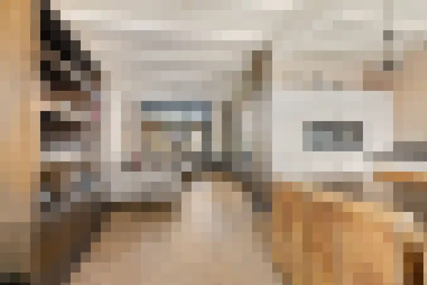 Kerkstraat 67 Oostzaan thumbnail 14