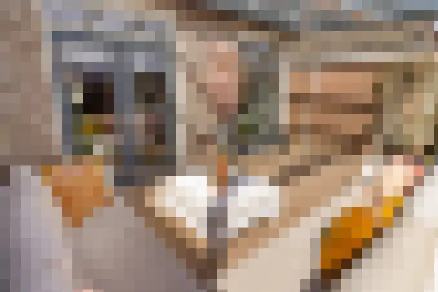 Kerkstraat 67 Oostzaan thumbnail 45