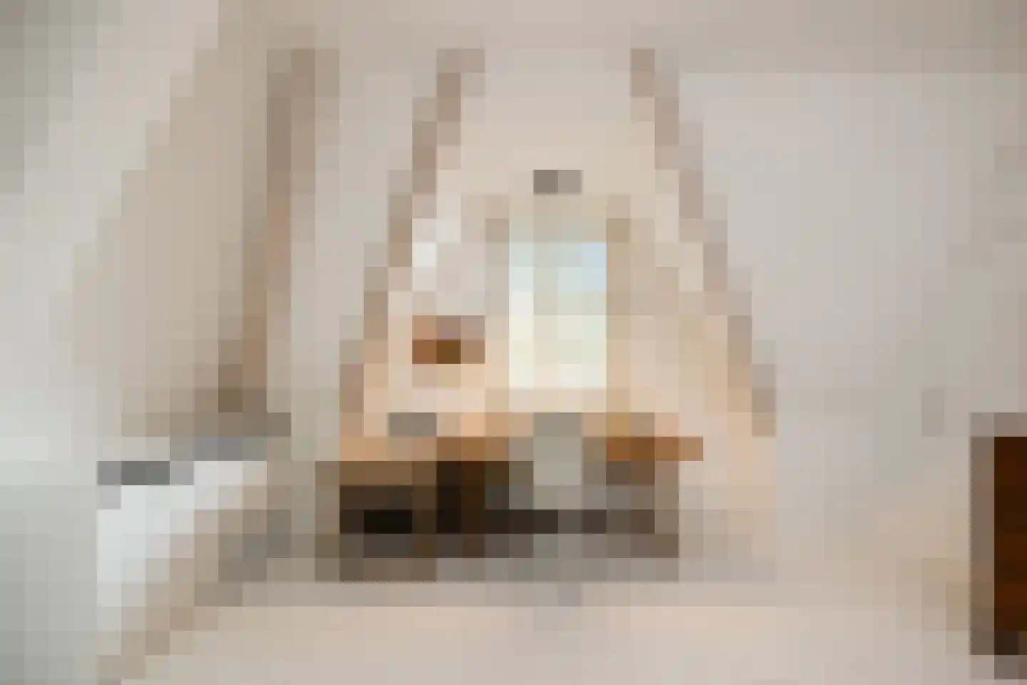 Kerkstraat 69 A Oisterwijk thumbnail 22