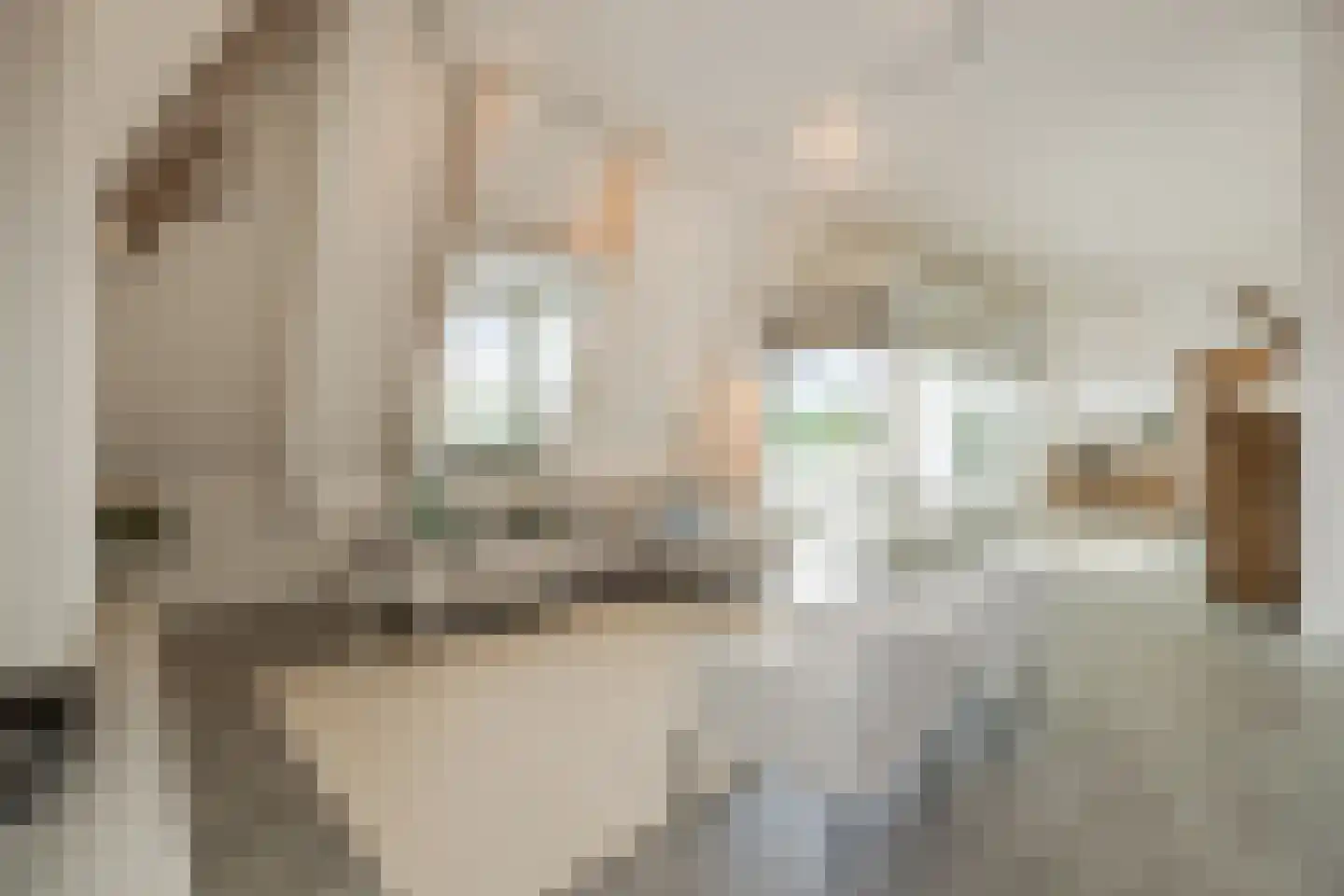 Kerkstraat 69 A Oisterwijk thumbnail 7