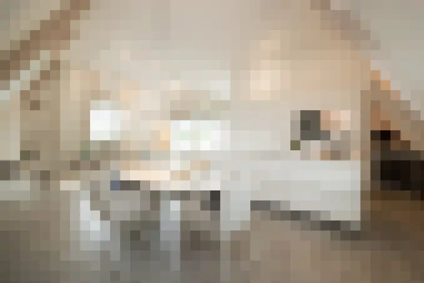 Kerkstraat 69 A Oisterwijk thumbnail 8