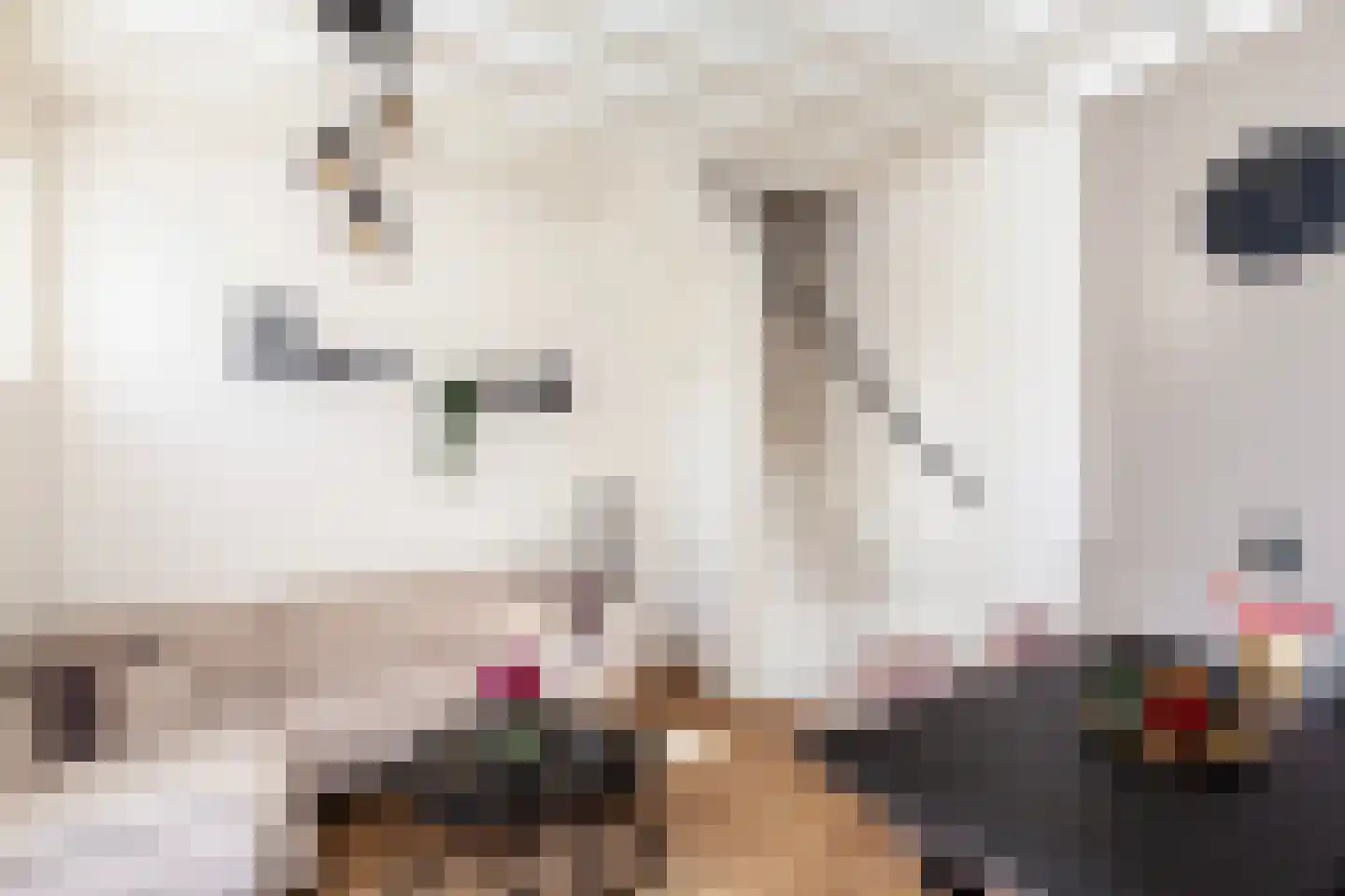 Kerkstraat 69 Alblasserdam thumbnail 4