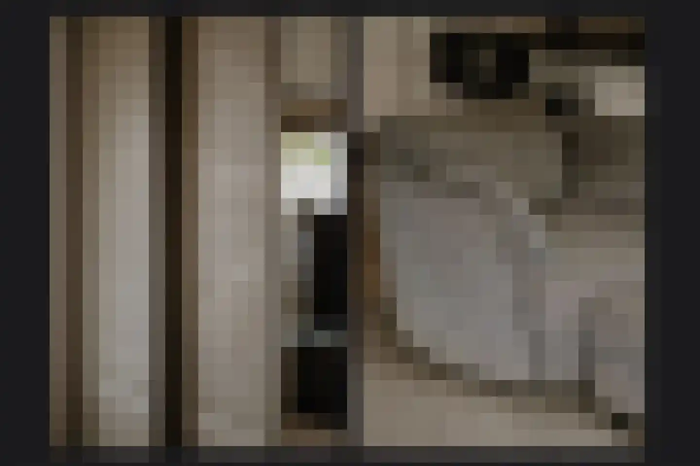 Kerkstraat 69 Kerkdriel thumbnail 15