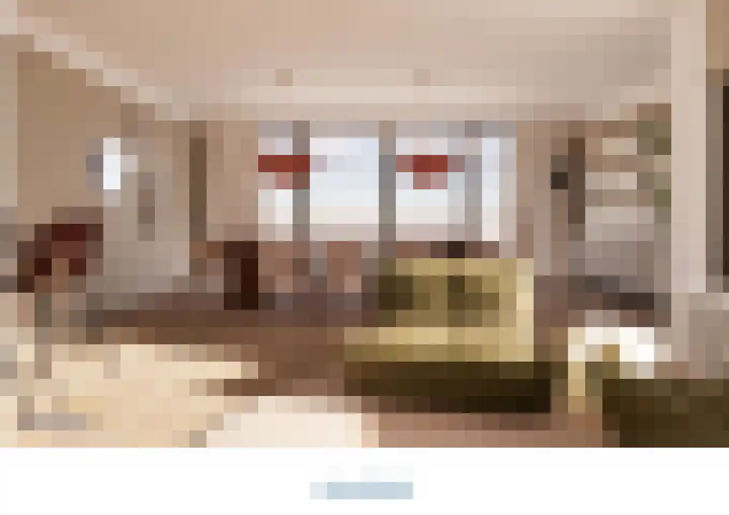 Kerkstraat 69 Kerkdriel thumbnail 17