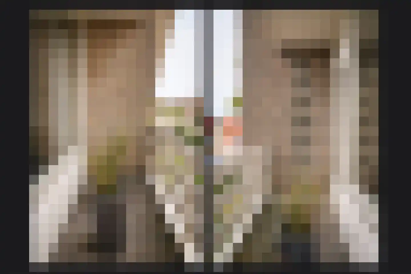 Kerkstraat 69 Kerkdriel thumbnail 21