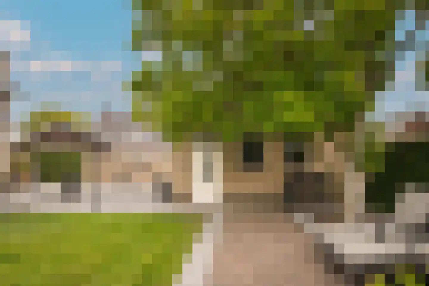Kerkstraat 69 Kerkdriel thumbnail 44