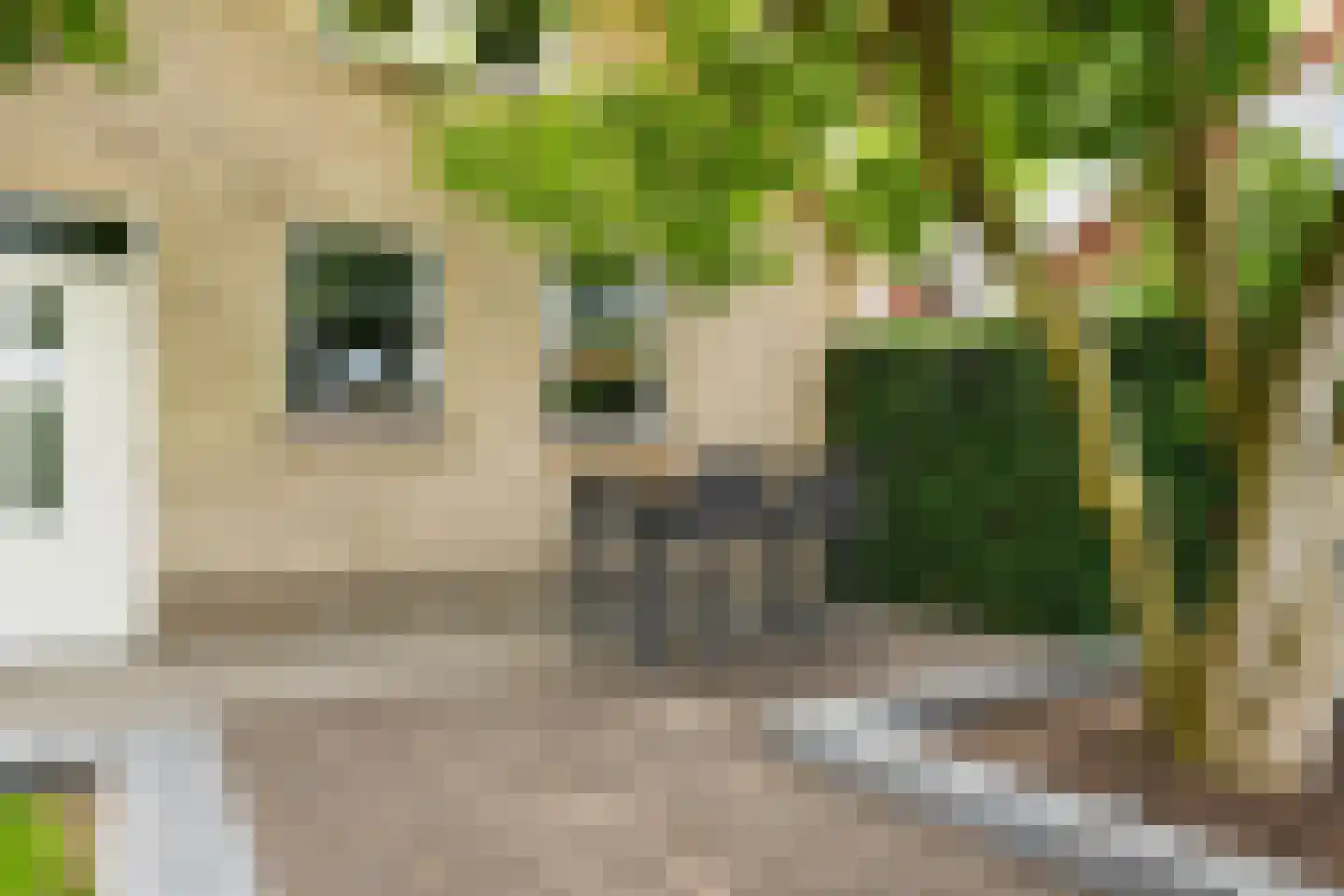 Kerkstraat 69 Kerkdriel thumbnail 45