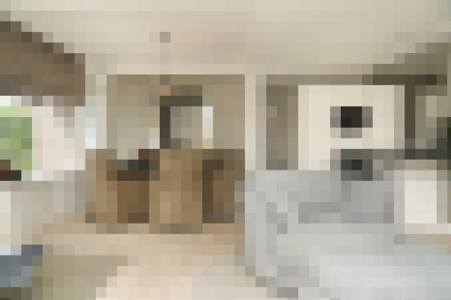 Kerkstraat 69 Kerkdriel thumbnail 6