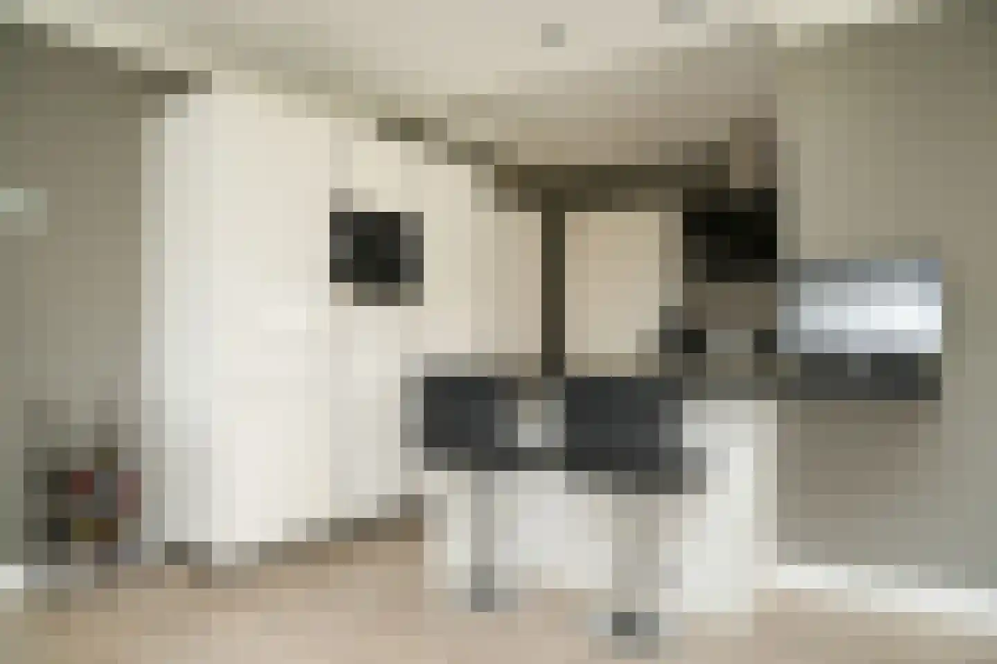 Kerkstraat 69 Kerkdriel thumbnail 8