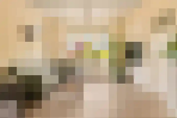 Kerkstraat 69 Oostzaan thumbnail 18