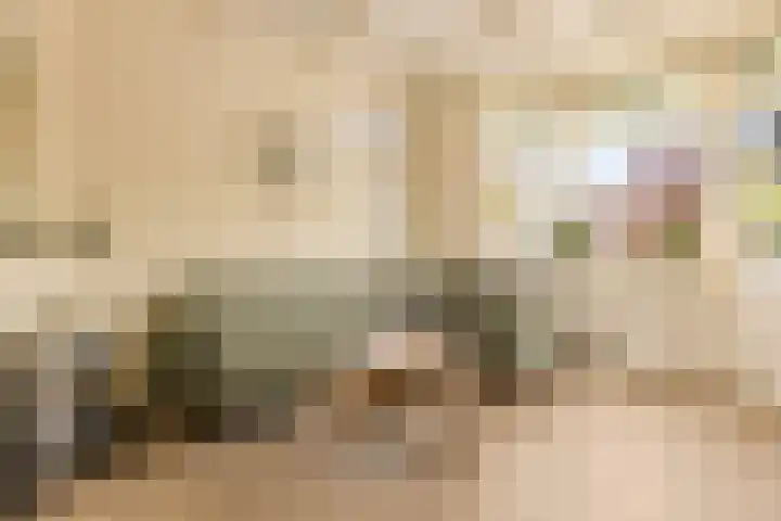 Kerkstraat 69 Oostzaan thumbnail 19