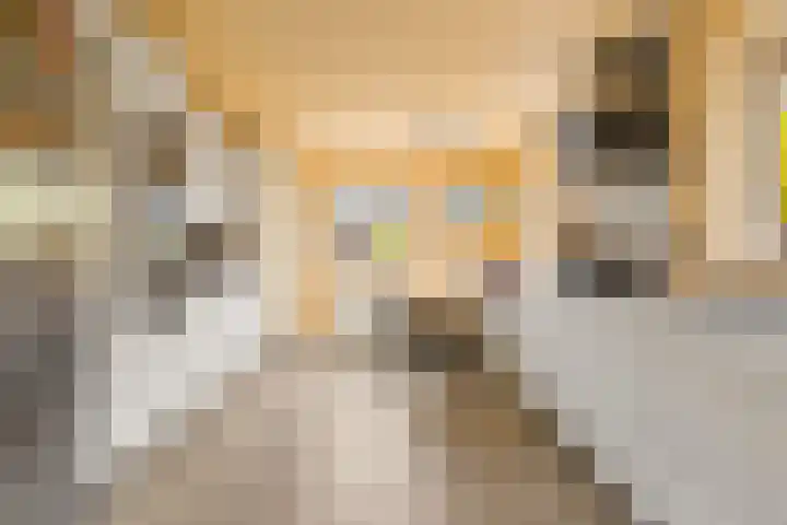 Kerkstraat 69 Oostzaan thumbnail 23