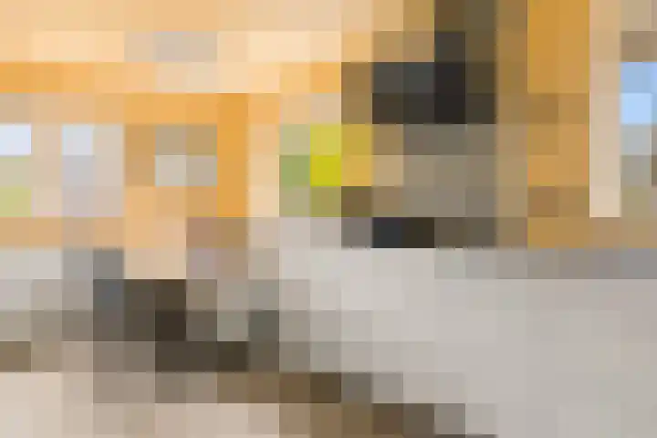 Kerkstraat 69 Oostzaan thumbnail 24
