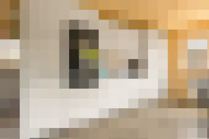 Kerkstraat 69 Oostzaan thumbnail 25