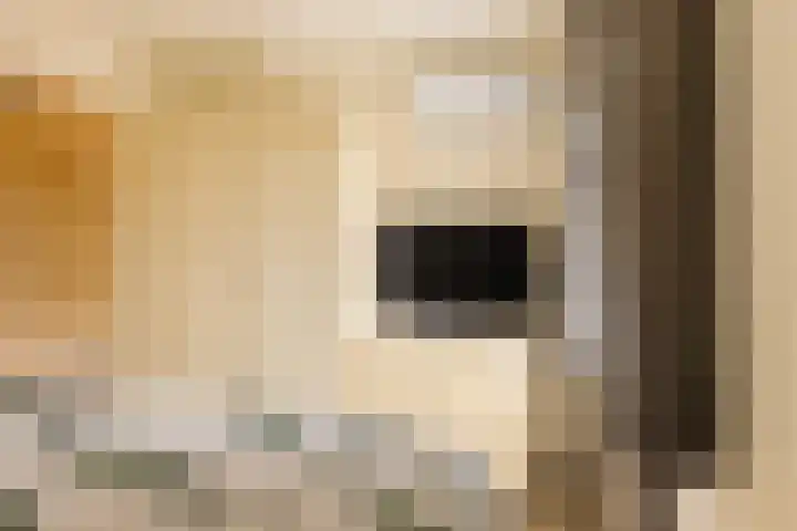 Kerkstraat 69 Oostzaan thumbnail 33