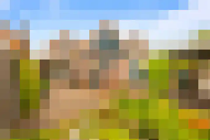 Kerkstraat 69 Oostzaan thumbnail 53