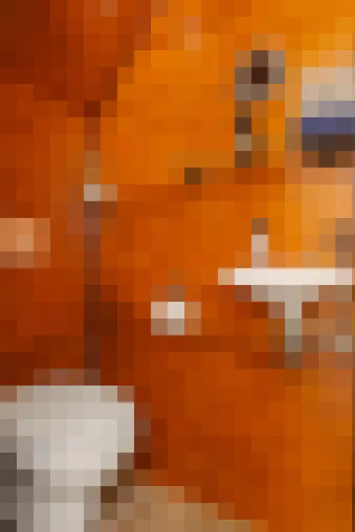 Kerkstraat 69 Oostzaan thumbnail 8