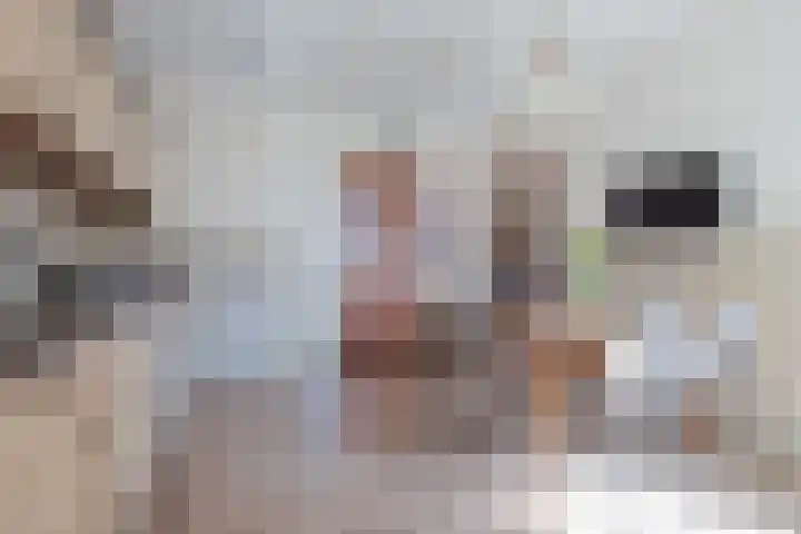 Kerkstraat 7 A Leveroy thumbnail 5