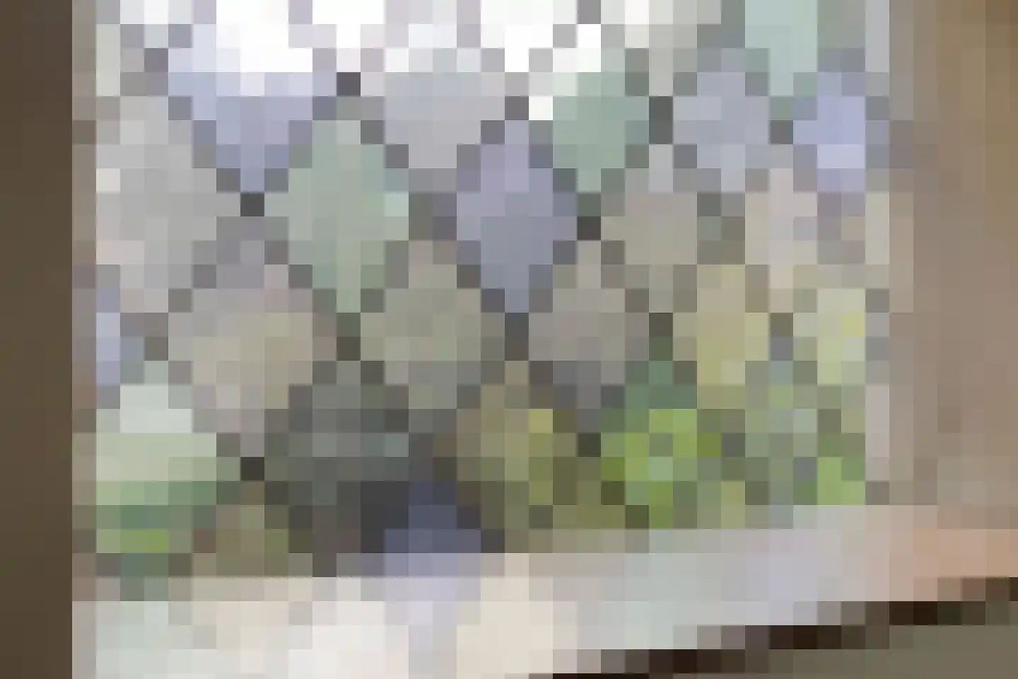 Kerkstraat 7 Mierlo thumbnail 13
