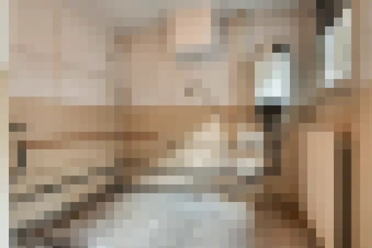 Kerkstraat 7 Mierlo thumbnail 18