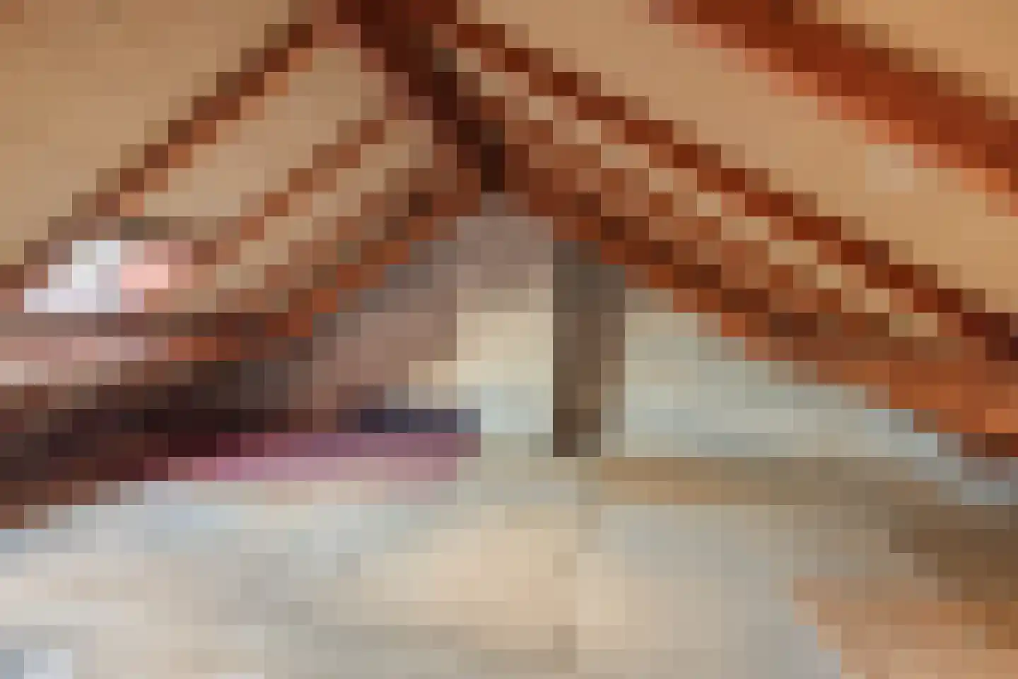 Kerkstraat 7 Mierlo thumbnail 29