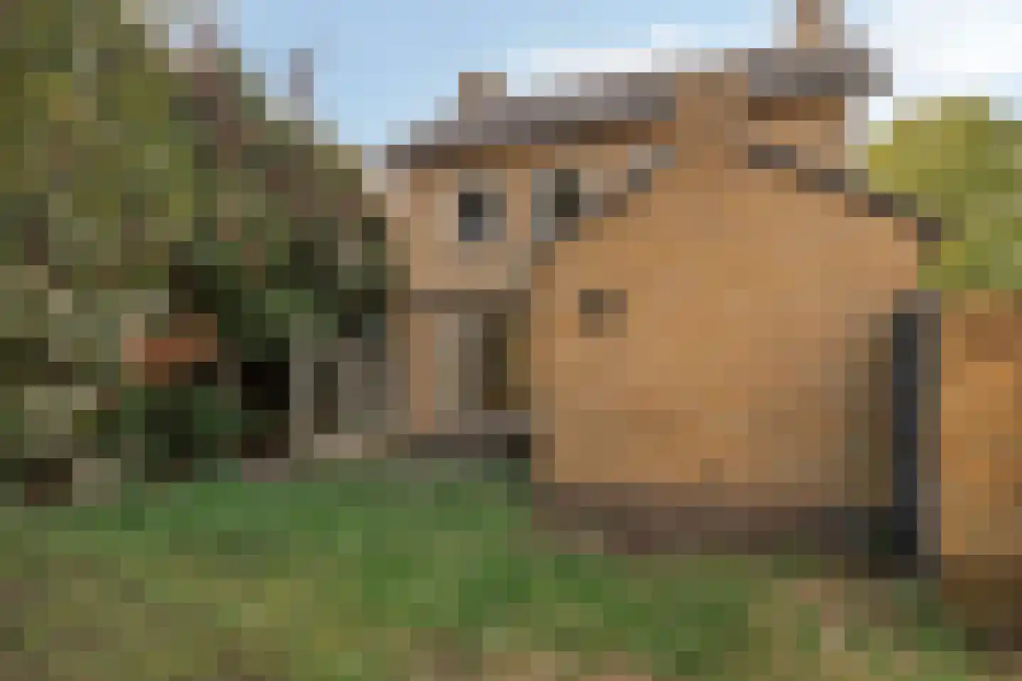 Kerkstraat 7 Mierlo thumbnail 4