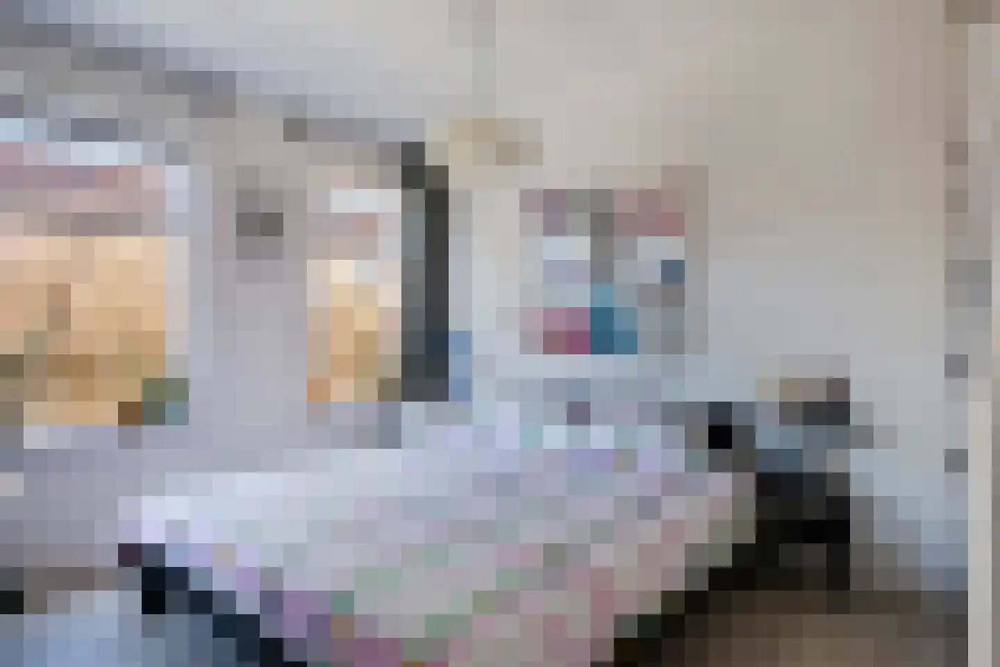 Kerkstraat 7 Muntendam thumbnail 25