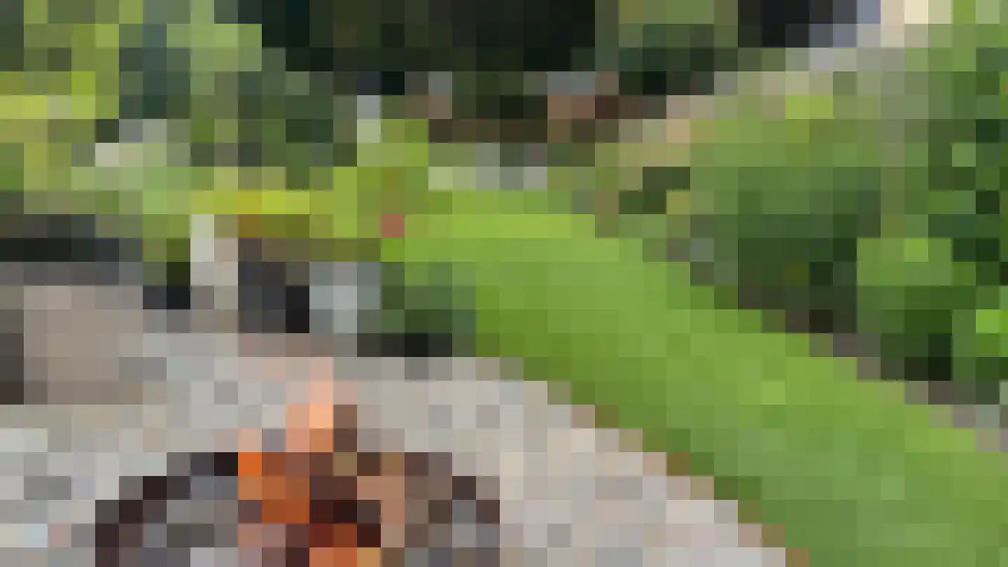 Kerkstraat 7 Muntendam thumbnail 60