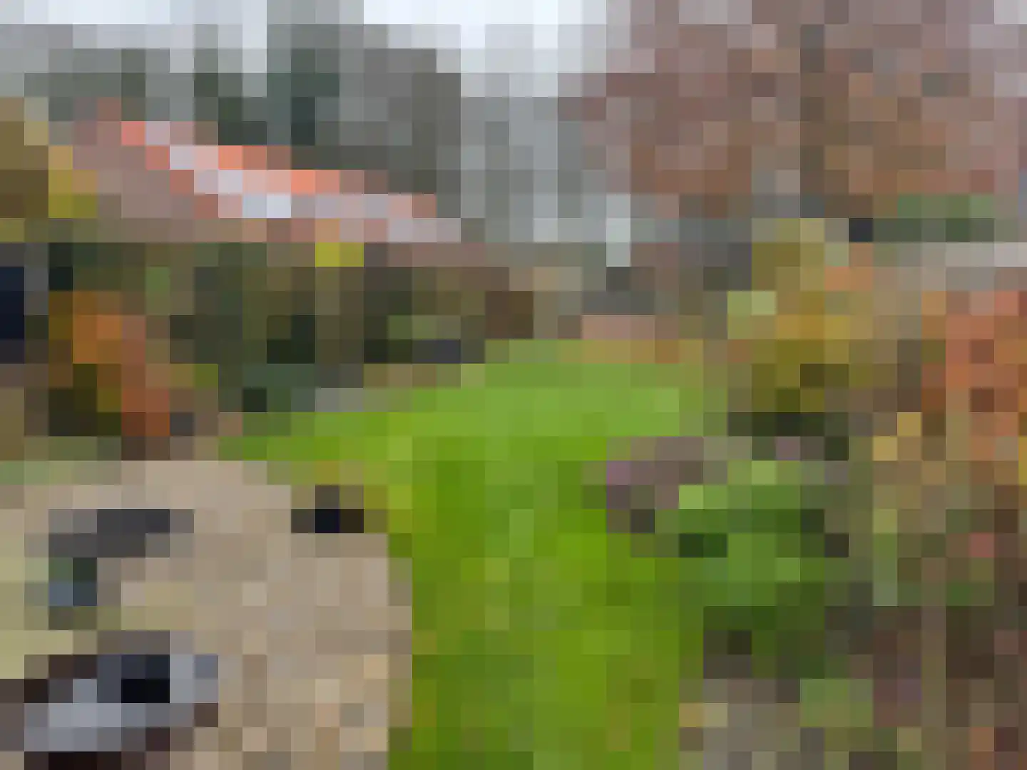 Kerkstraat 7 Muntendam thumbnail 65