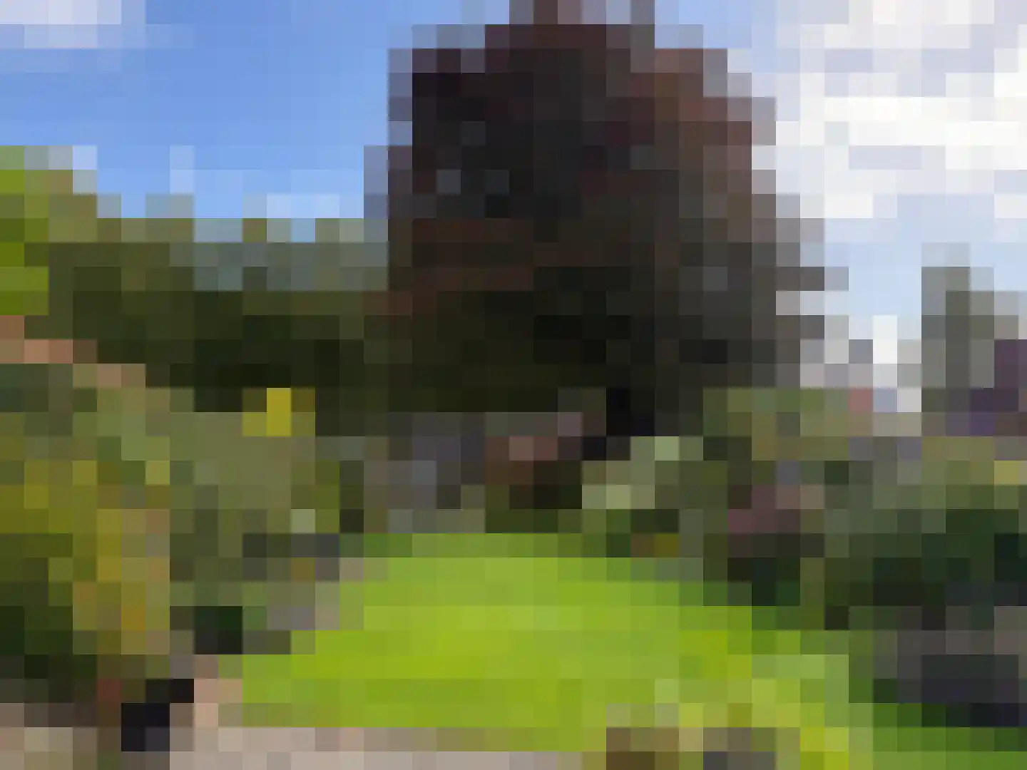 Kerkstraat 7 Muntendam thumbnail 66