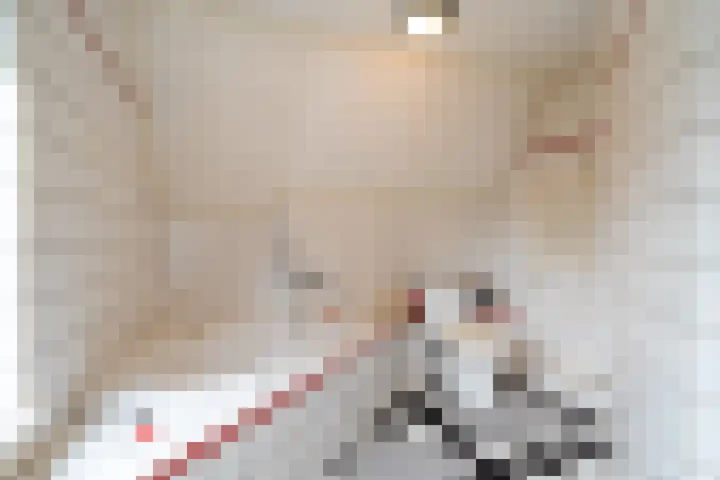 Kerkstraat 7 Noordlaren thumbnail 48